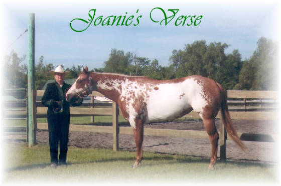 joaniesverse.jpg