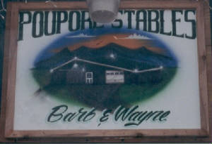Poupore's Quarter Horses, Paints, & Appaloosas