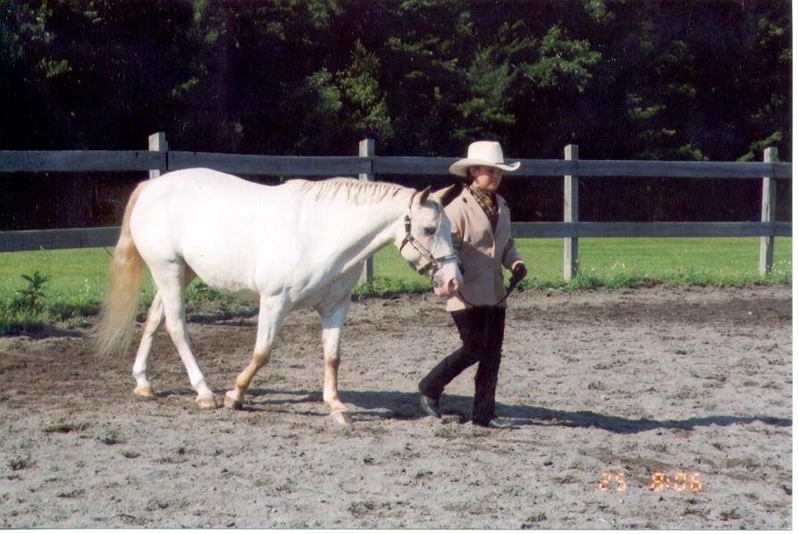 Snowy      Model Pony- 1st Place