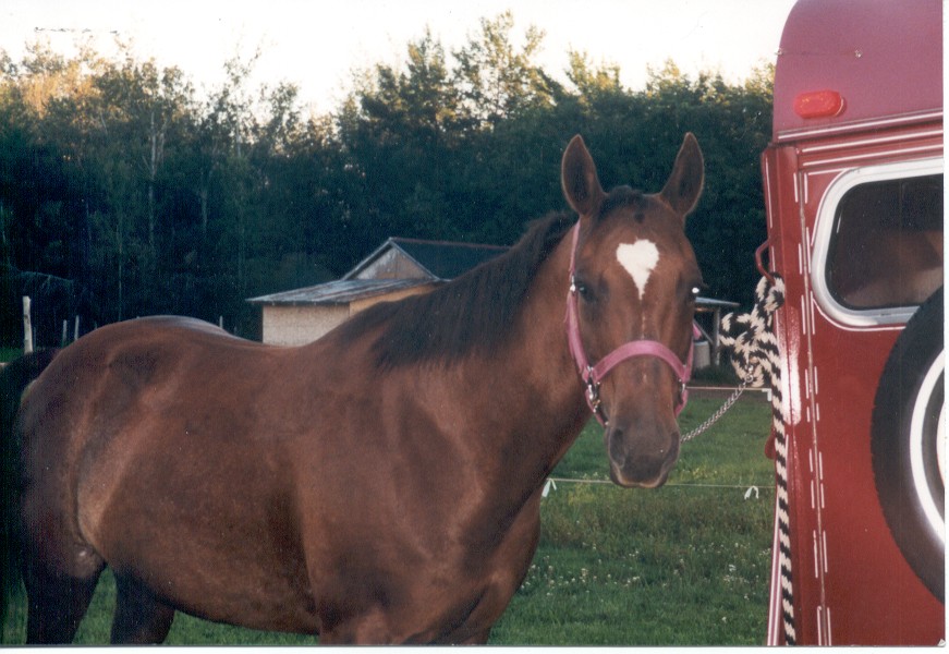 missy97.jpg